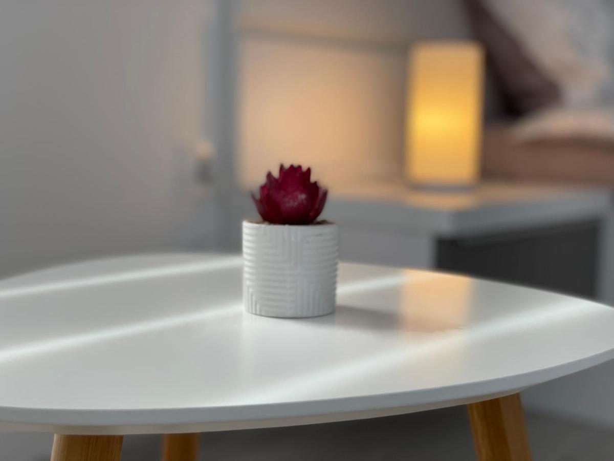 Vice-Versa By Jules Studio Braşov Extérieur photo